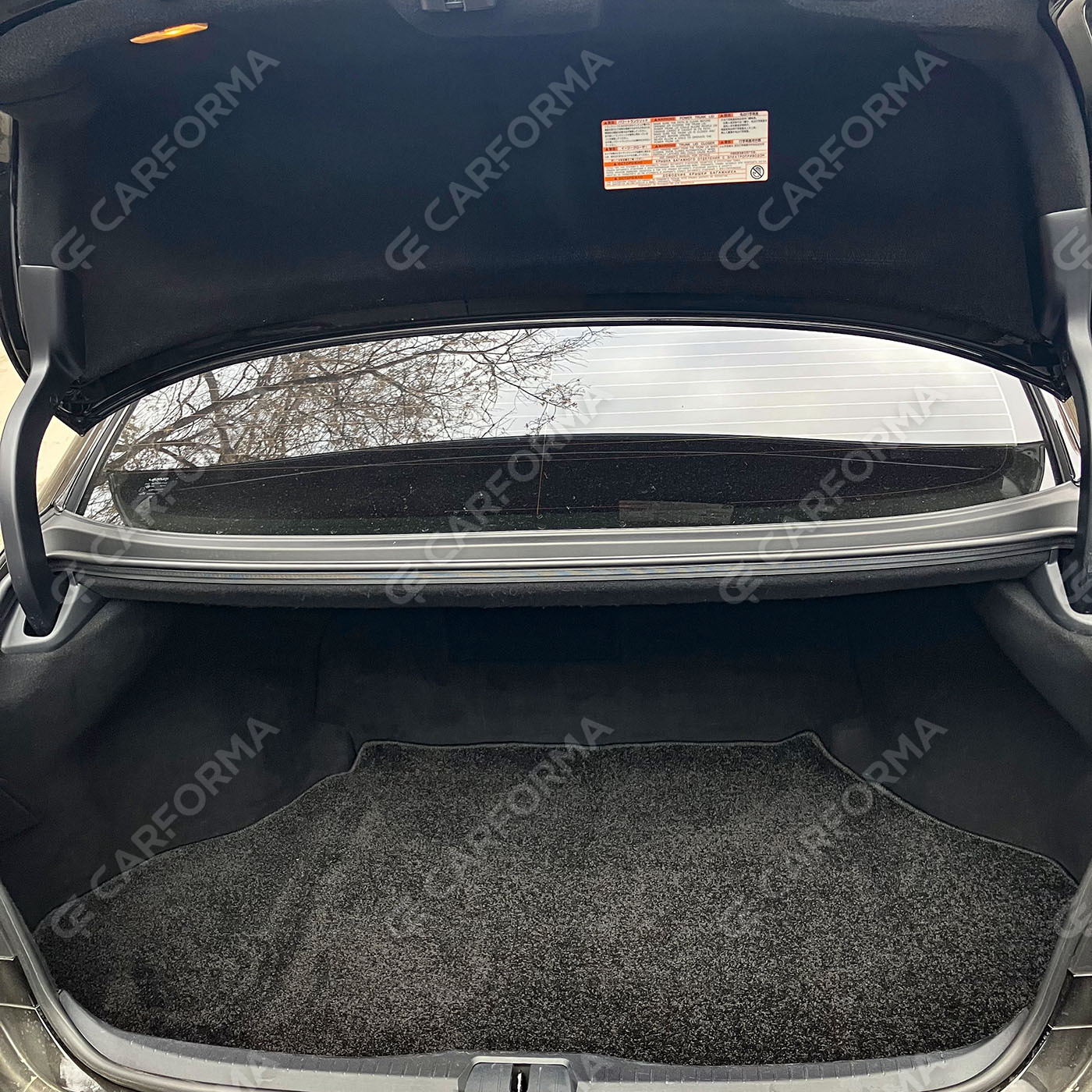 Ворсовые коврики на Lexus LS IV 2006&nbsp;-&nbsp;2017 в Тольятти