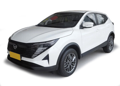 Водительские  коврики Nissan Qashqai (J11) Glory / Honor (Китай) 2024&nbsp;-&nbsp;2026 в Тольятти