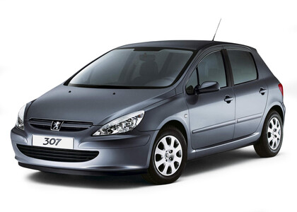 Ворсовые коврики на Peugeot 307 2001 - 2008 в Тольятти
