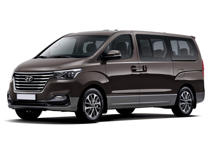 Ворсовые коврики на Hyundai H1 II 2007 - 2022 в Тольятти