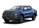 Ворсовые коврики на JAC T9 2021 - 2025 в Тольятти
