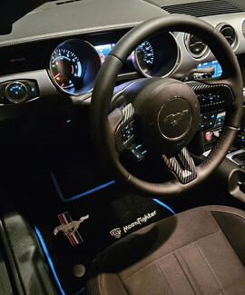 Ворсовые коврики на Ford Mustang VI 2013 - 2023 в Тольятти Ворсовые коврики на Ford Mustang VI 2013 - 2023 в Тольятти